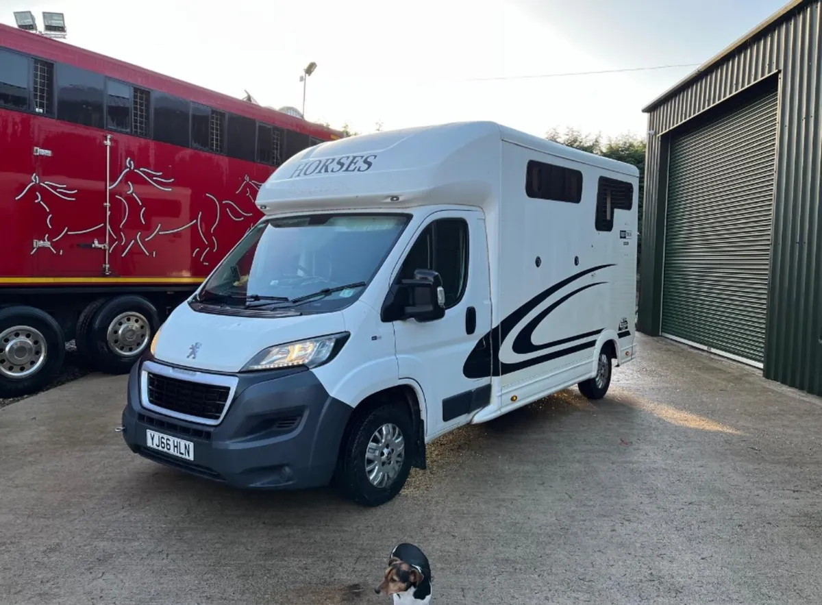 EQUI-TRECK PEUGEOT 2 HORSE TRUCK - Image 1