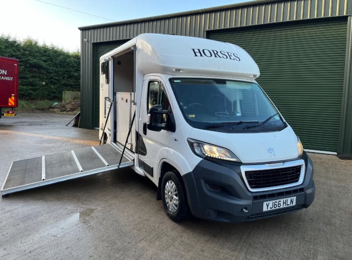EQUI-TRECK PEUGEOT 2 HORSE TRUCK - Image 2