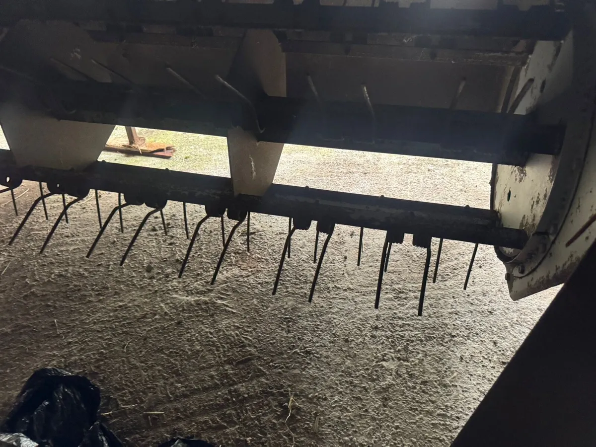 Belmac Wuffler - Image 4