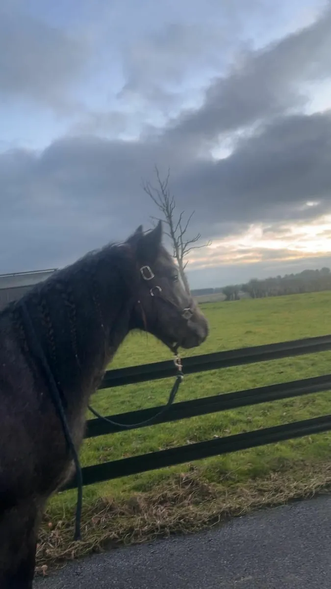 Future Star - Image 4