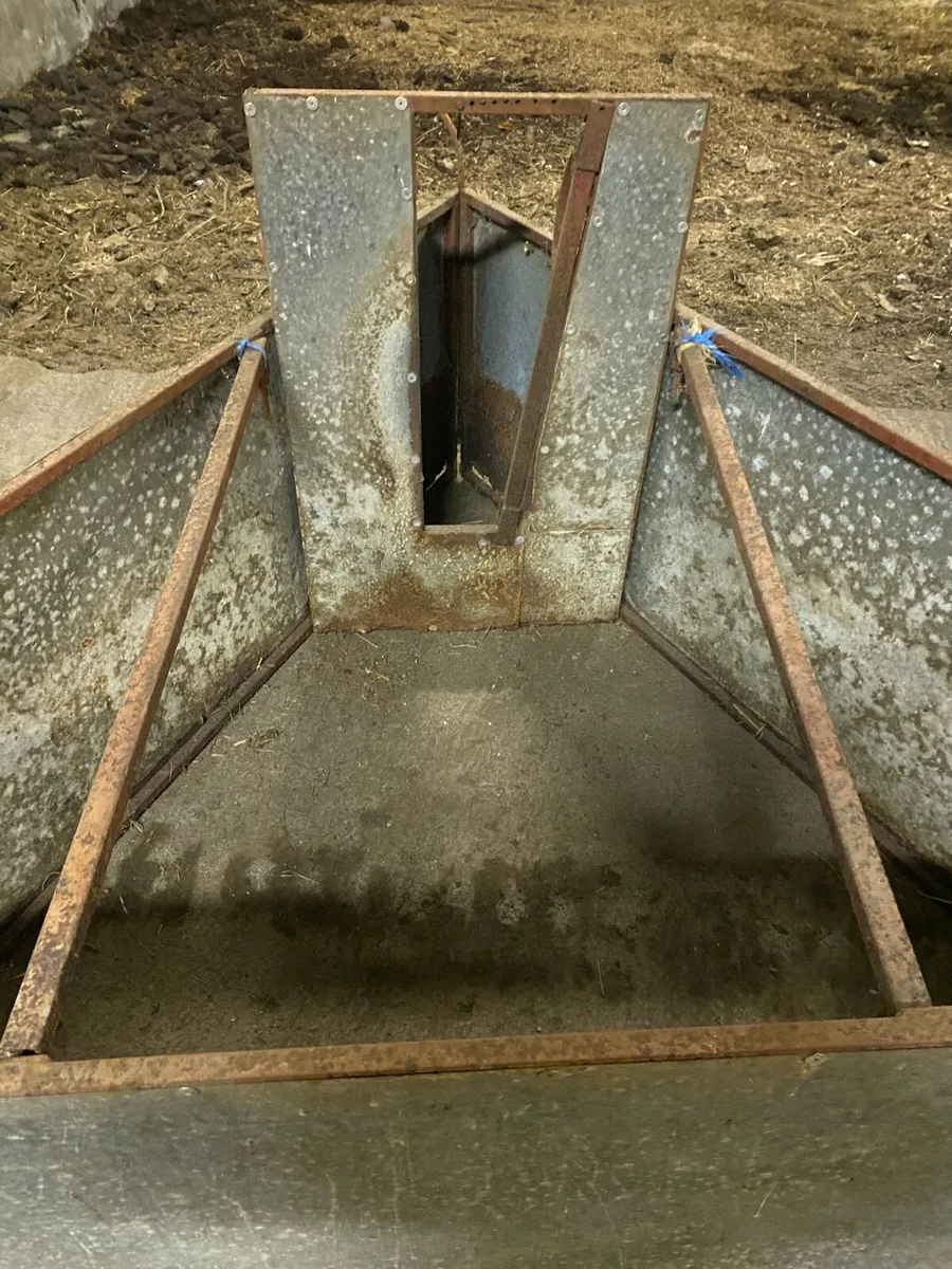 Lamb  adoption Crate - Image 2