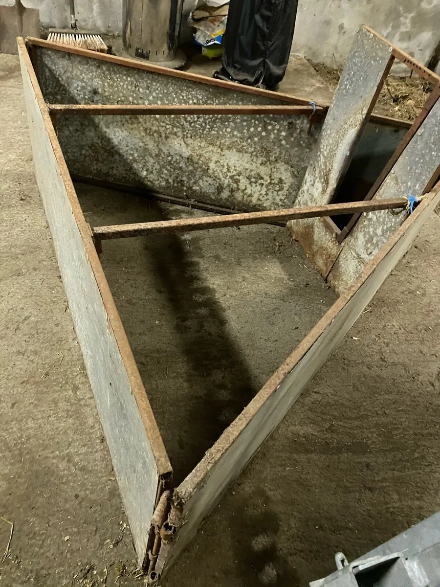 Lamb  adoption Crate - Image 3