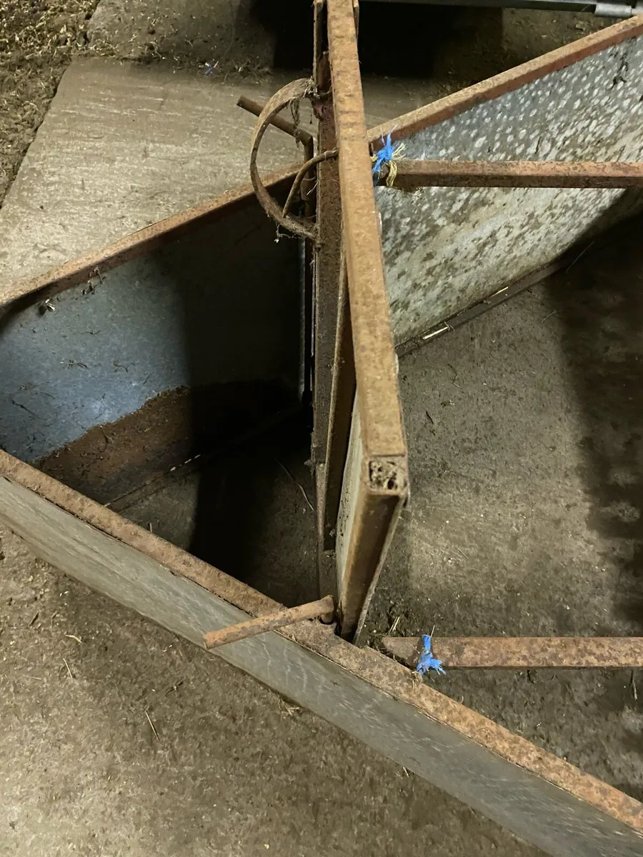 Lamb  adoption Crate - Image 4