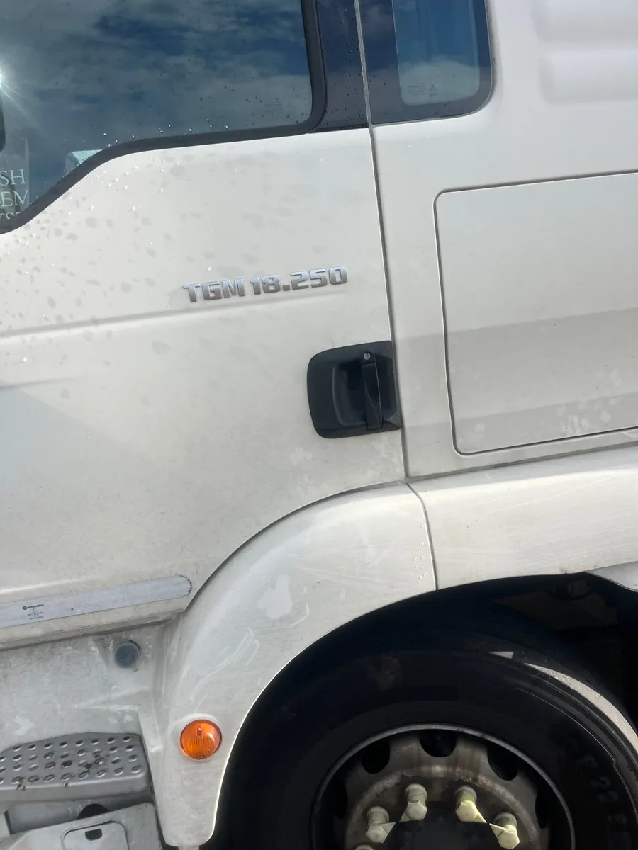 Man Other 2017 - Image 2