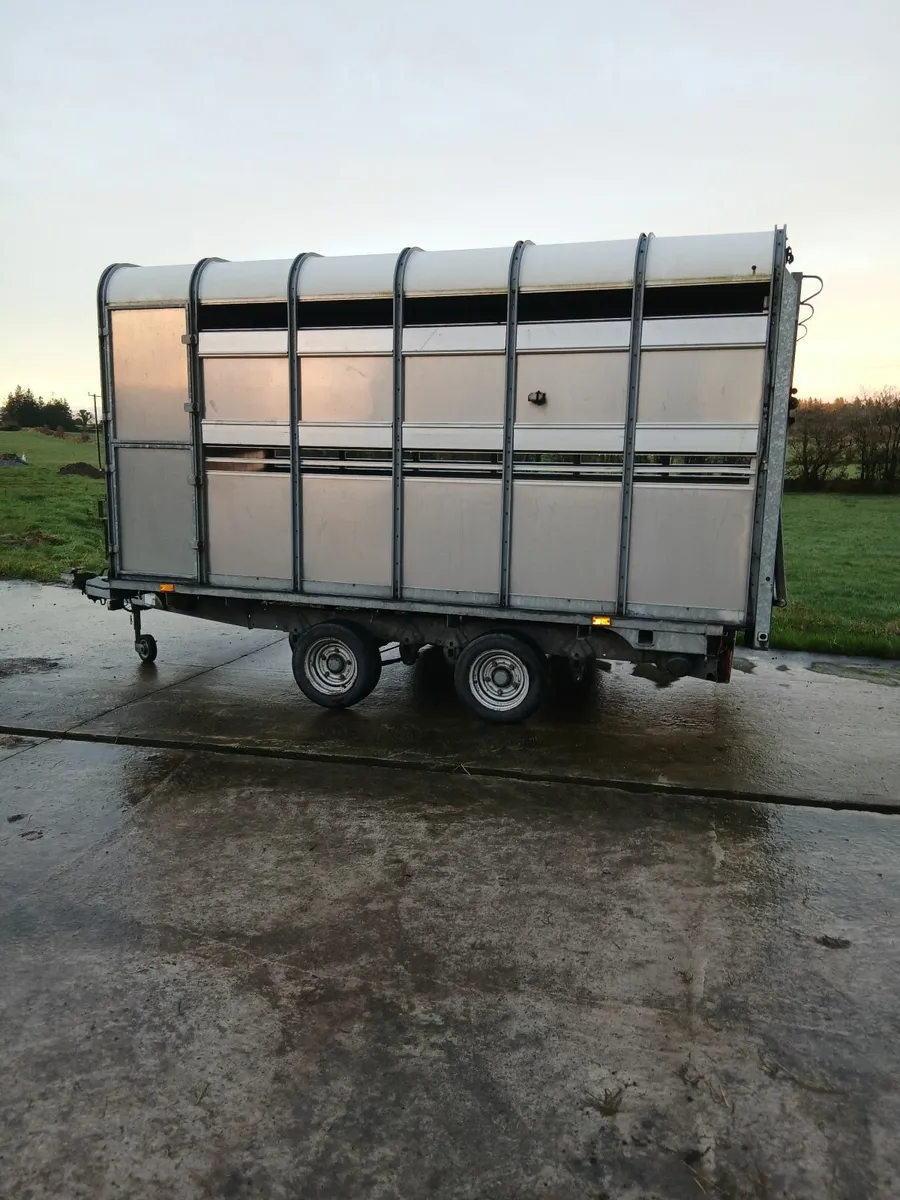 Ifor Williams Cattle Trailer - Image 1