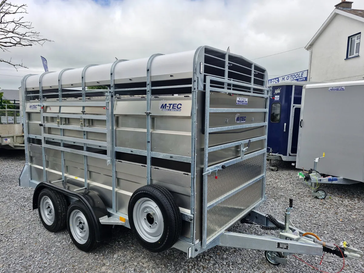 NEW M-TEC  12' X 6'  TRAILER WITH SHEEP DECKS - Image 1