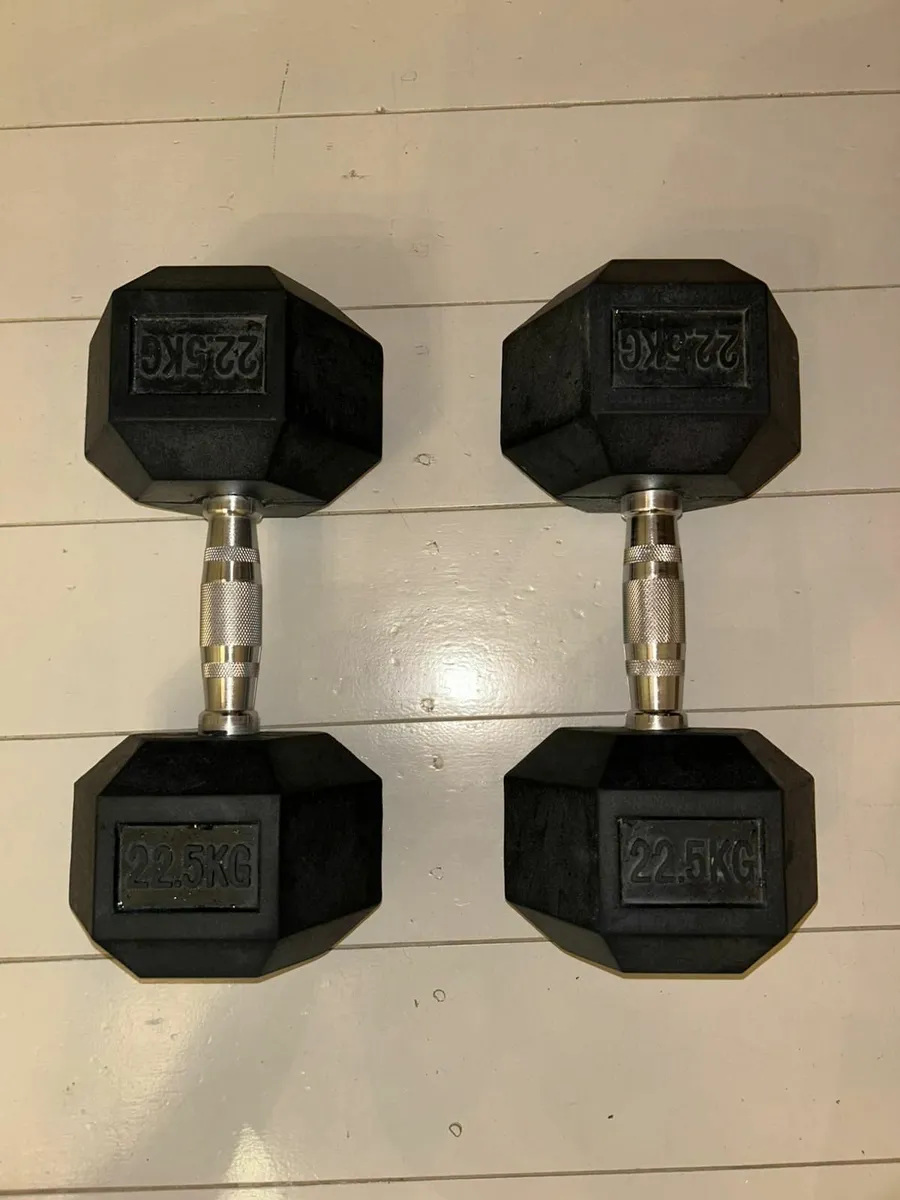 Gym bench & weights - Image 2