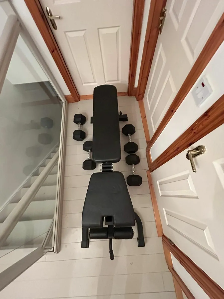 Gym bench & weights - Image 1