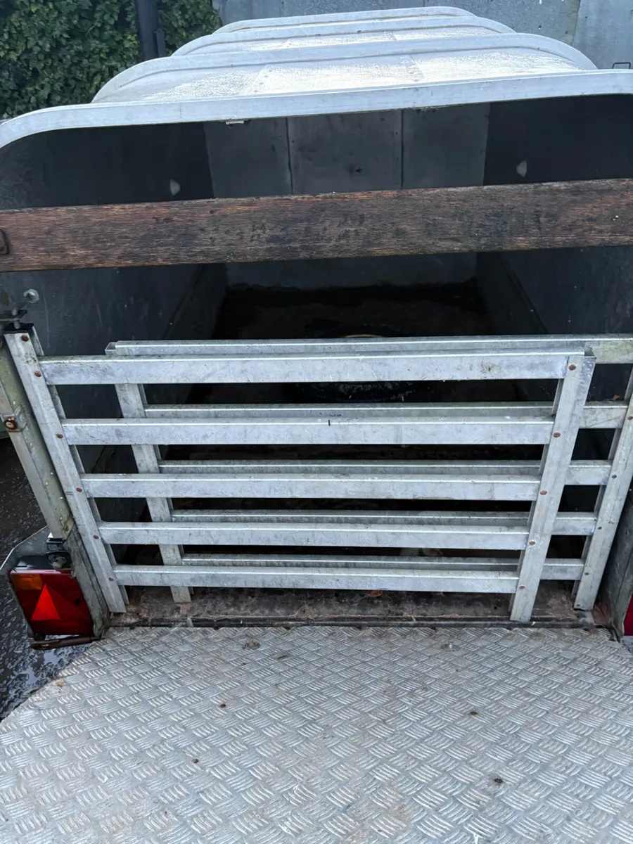 Ifor Williams P6E trailer - Image 2