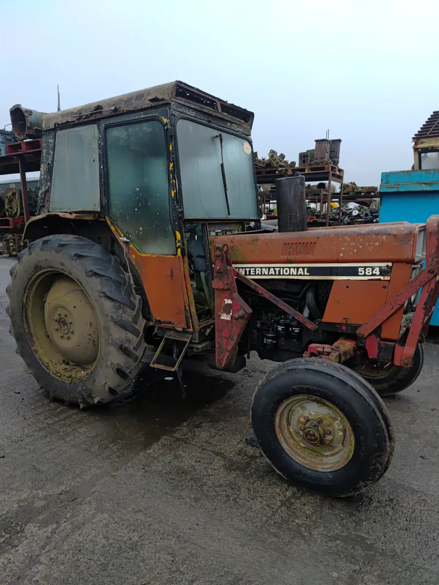 International - Image 2