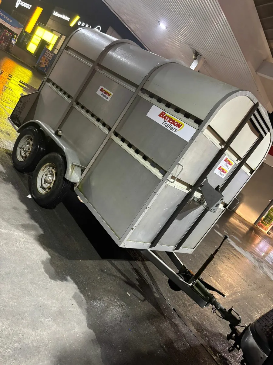 bateson cattlebox - Image 3