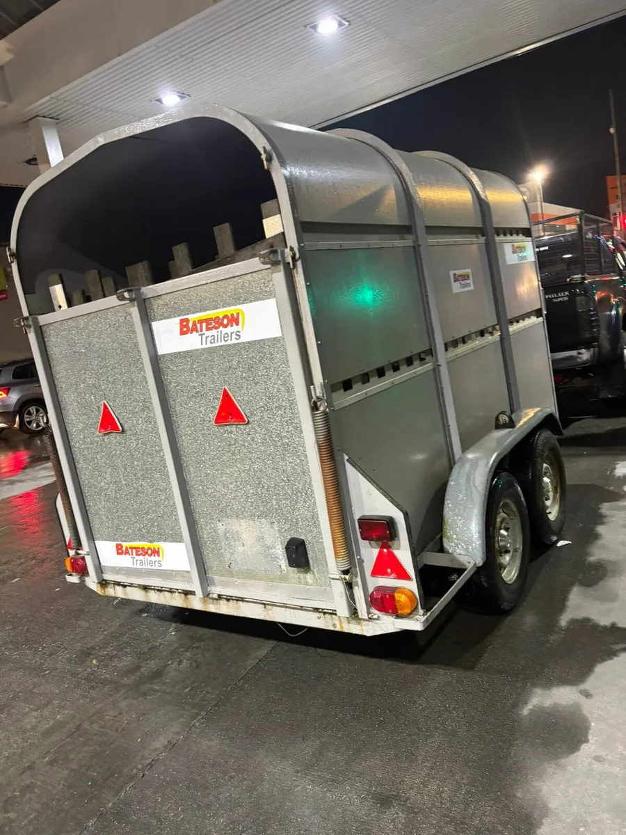 bateson cattlebox - Image 4