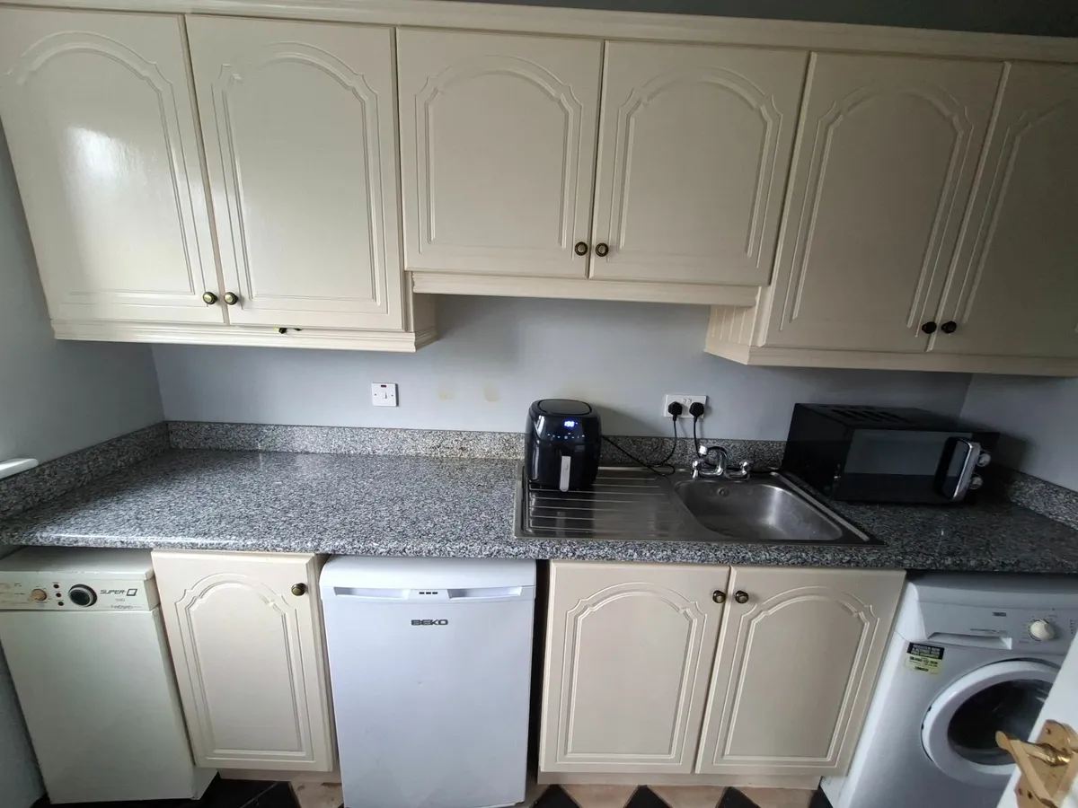 Kitchen, utility  and appliances - Image 4