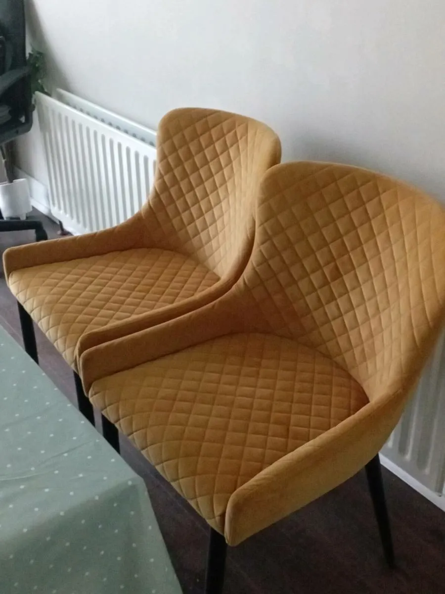 Ez living gold velvet dining chair x2 - Image 2