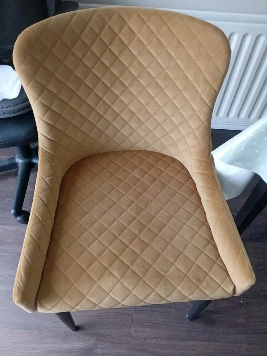 Ez living gold velvet dining chair x2 - Image 1