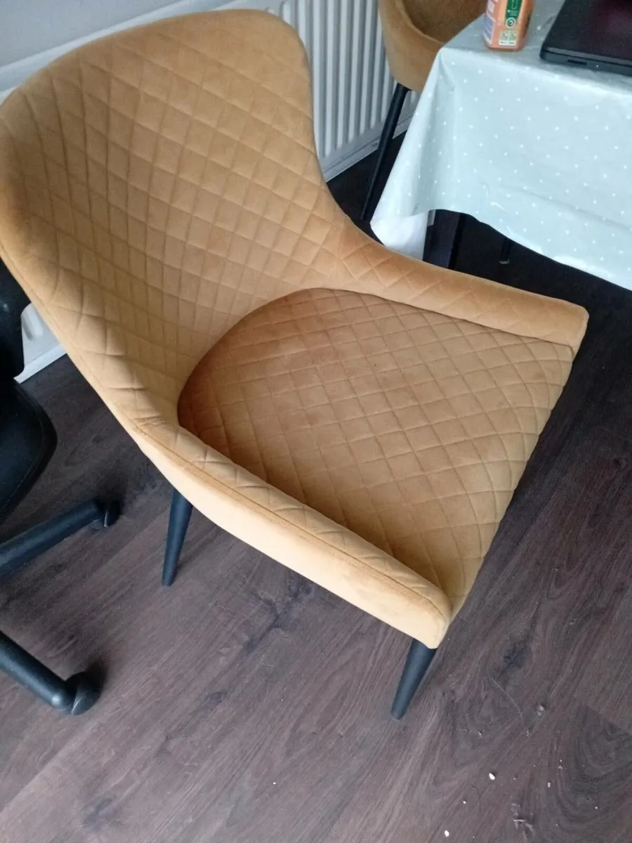 Ez living gold velvet dining chair x2 - Image 3