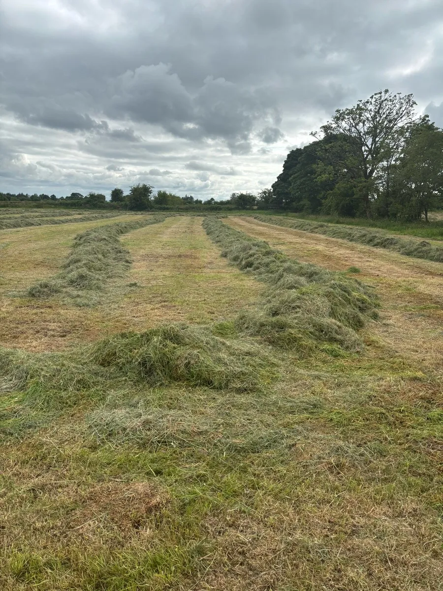 Silage Bales - Image 1