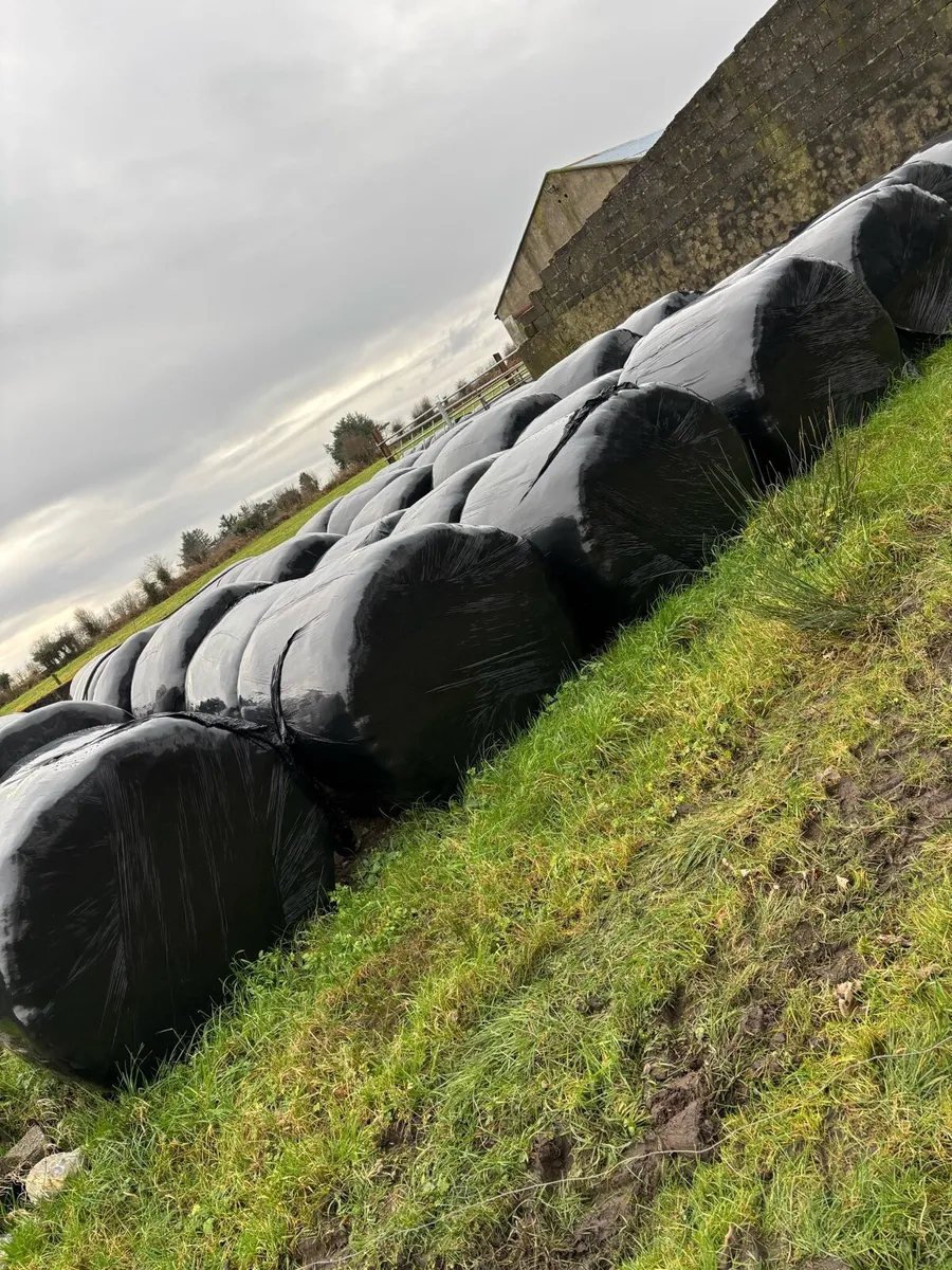 Silage Bales - Image 2