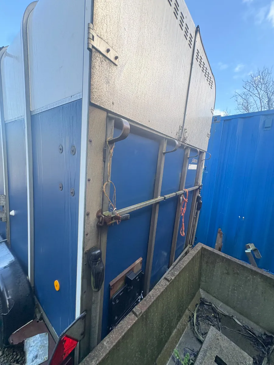 Ifor Williams 510 horse box - Image 2