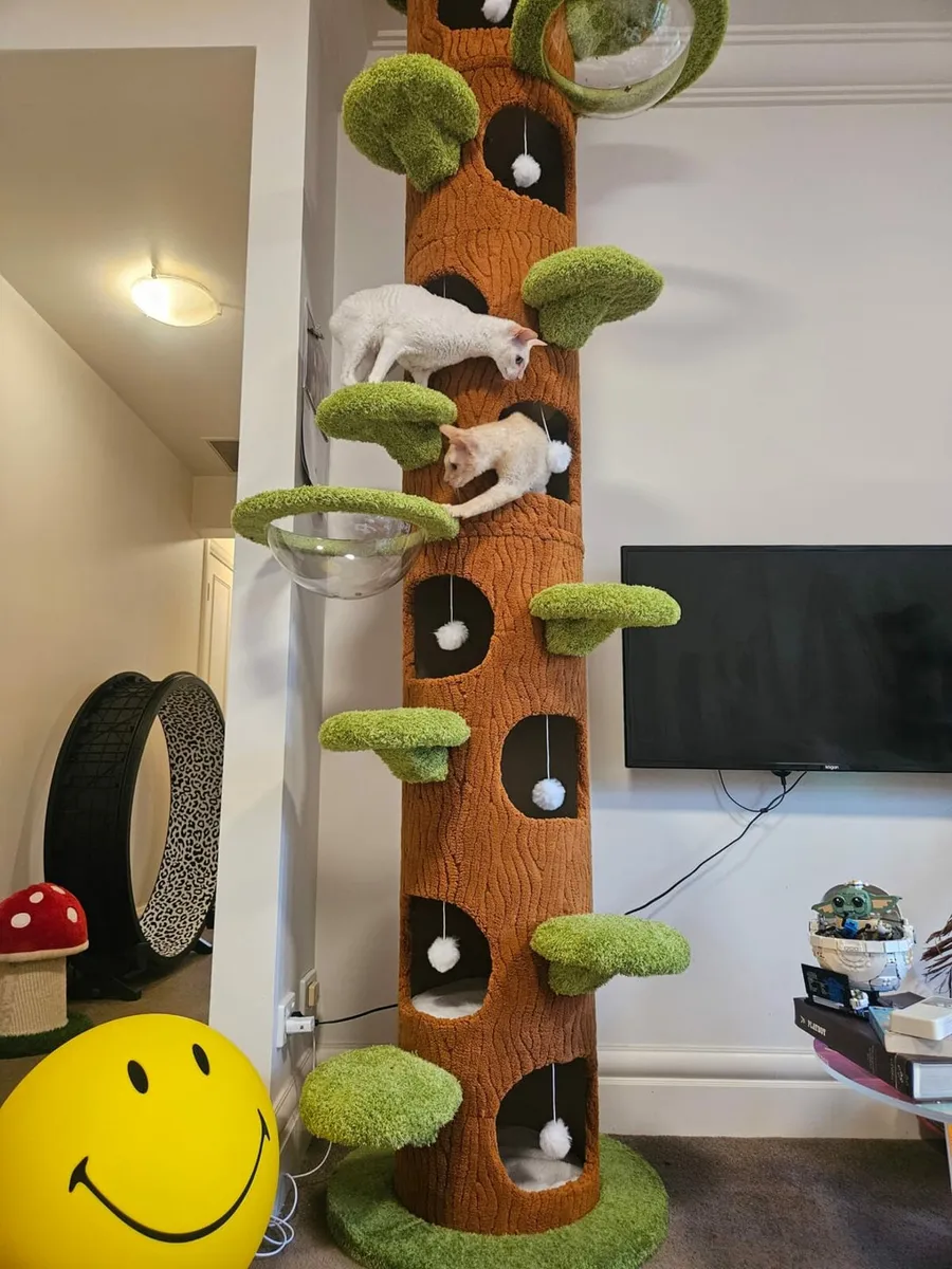 Cat tree scratching pole brand new - Image 1