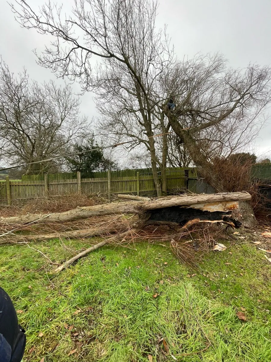 Digger work - Image 4