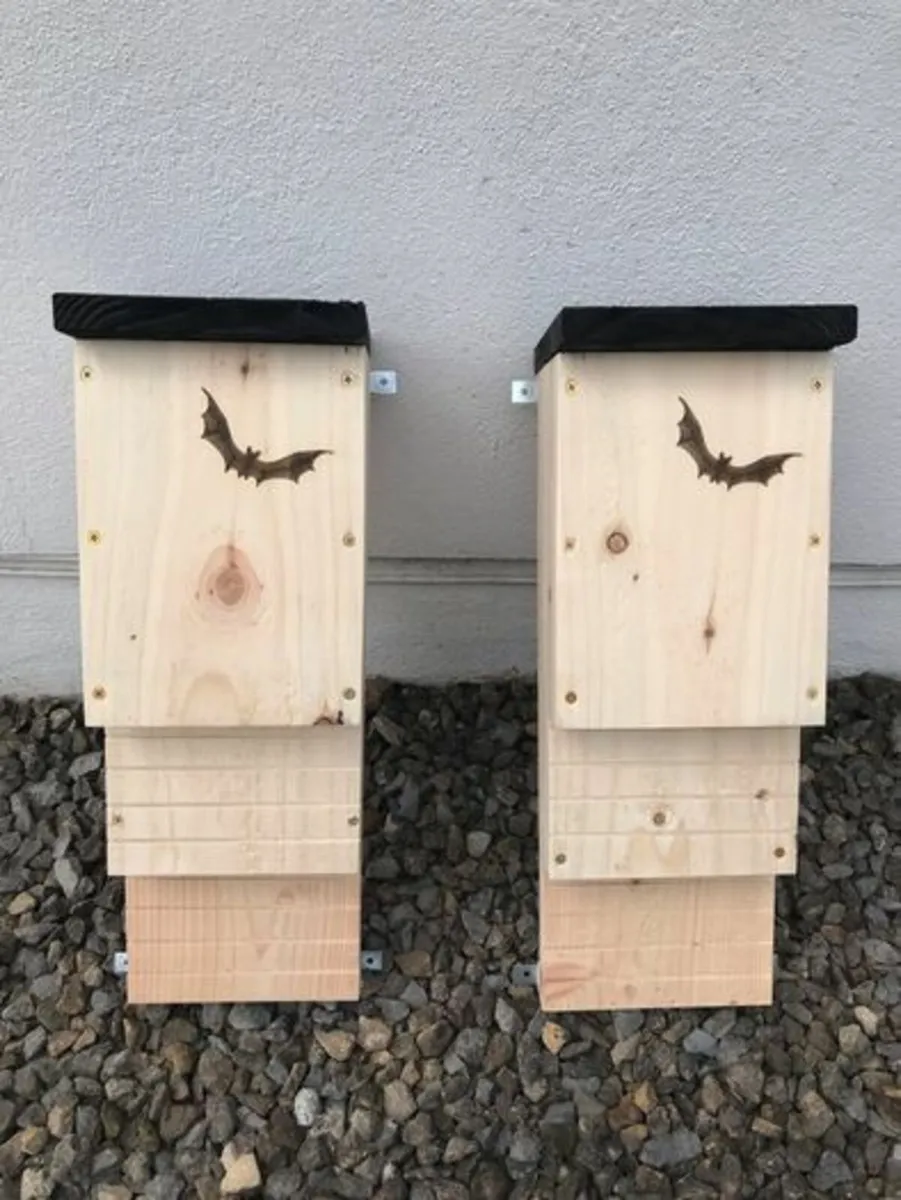 Bat Boxes - Image 1