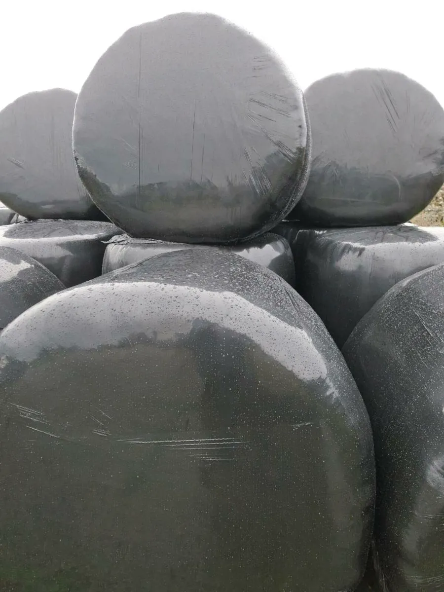 Silage and Hay - Image 1