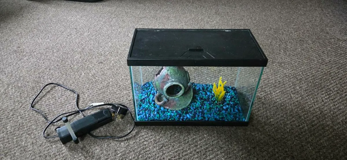 Fish Tank and accessories - Image 1
