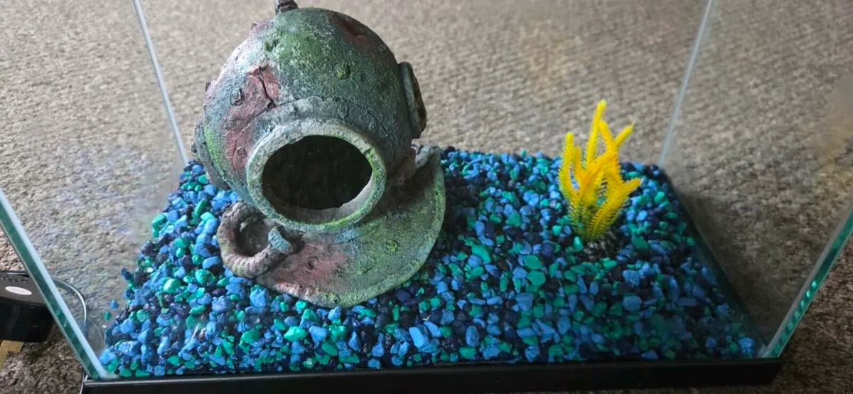 Fish Tank and accessories - Image 2