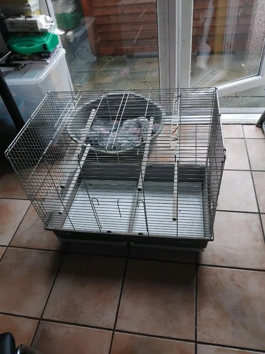 Large nest boxes,and extra  large cage - Image 2