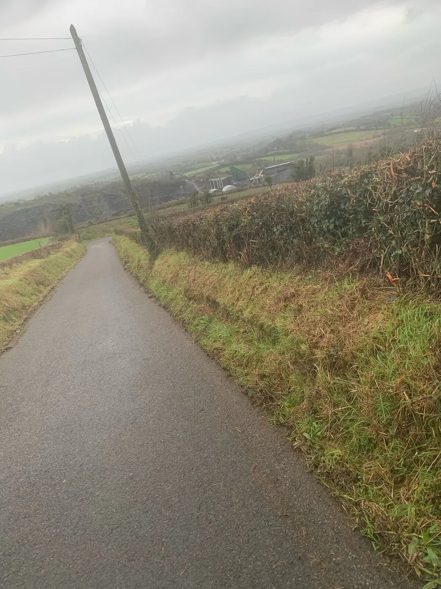 Hedgecutting services - Image 2