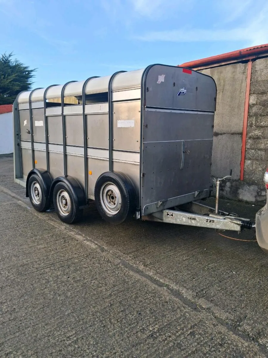 Ifor williams Cattle trailer - Image 1