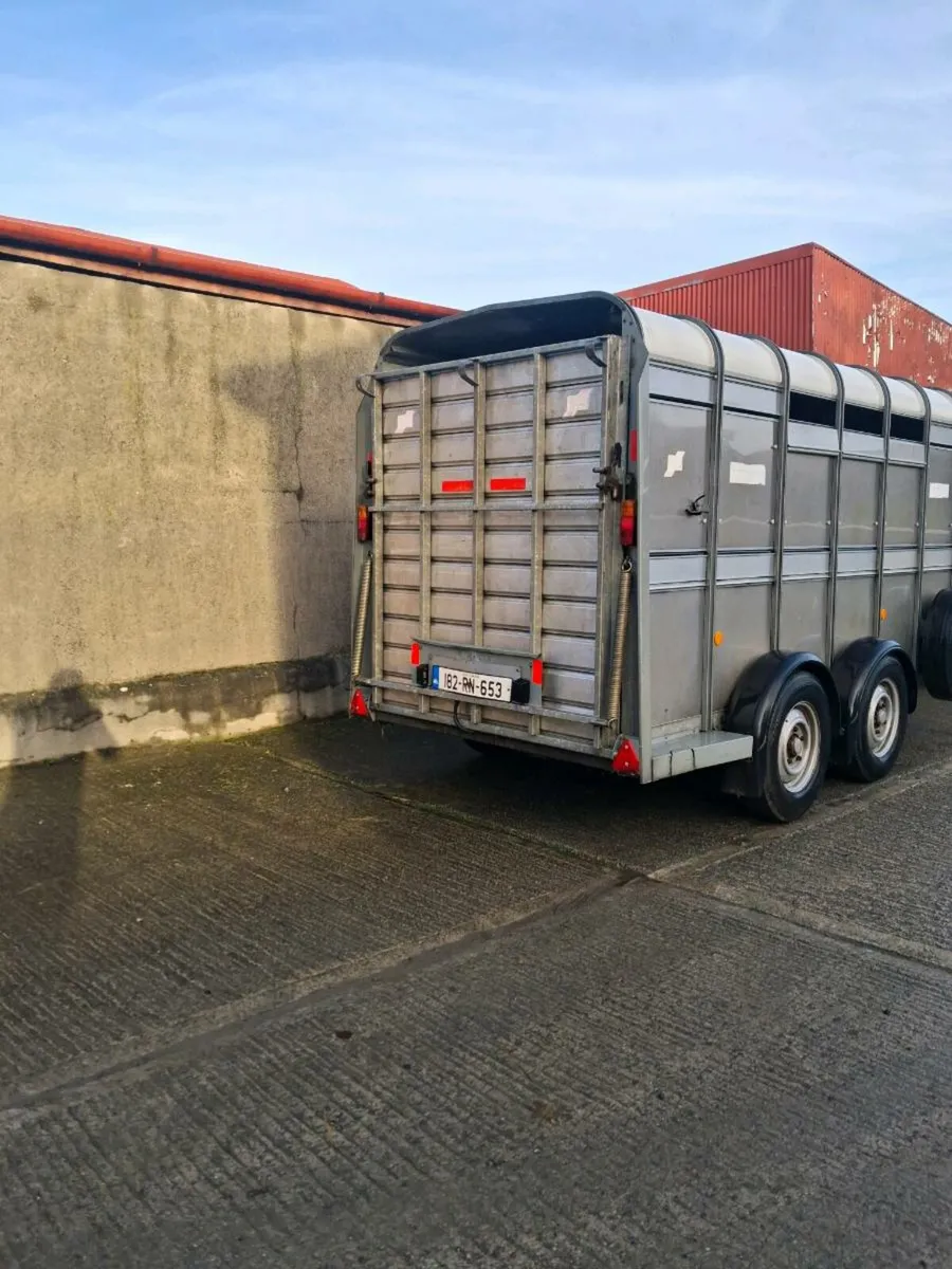 Ifor williams Cattle trailer - Image 2