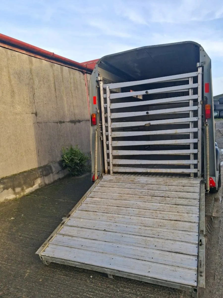 Ifor williams Cattle trailer - Image 3