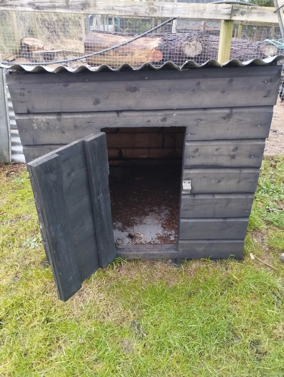 Large pethouse - Image 2