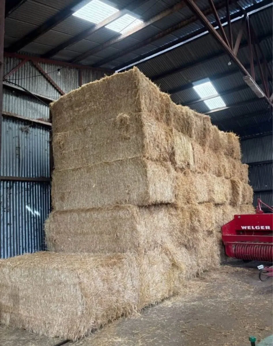 Quality English chopped barley straw - Image 1