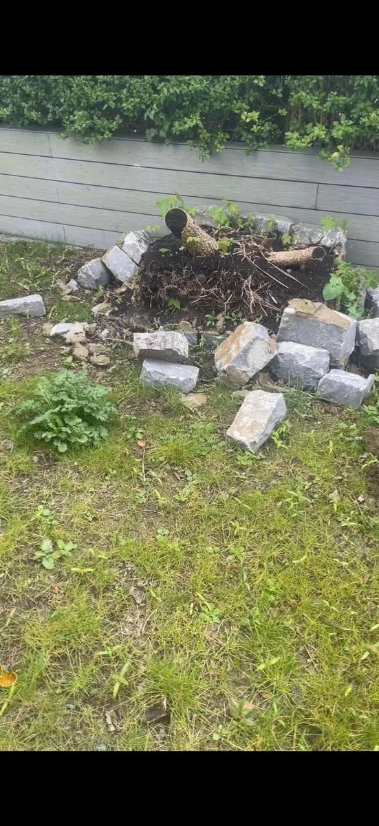 Garden maintenance - Image 1