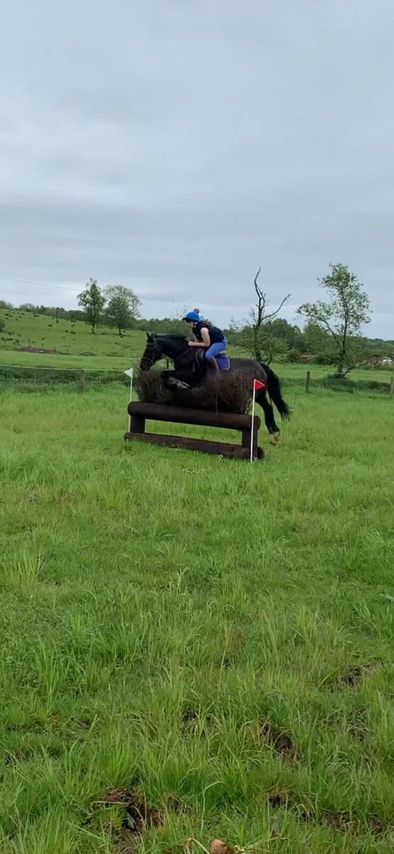 148 pony club pony - Image 2