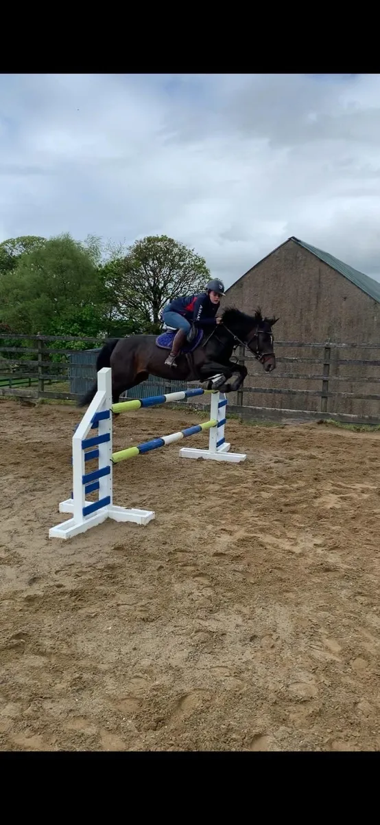 148 pony club pony - Image 3