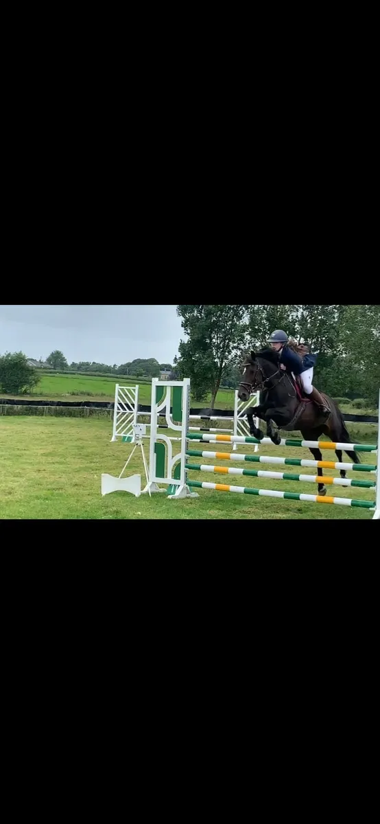 148 pony club pony - Image 1