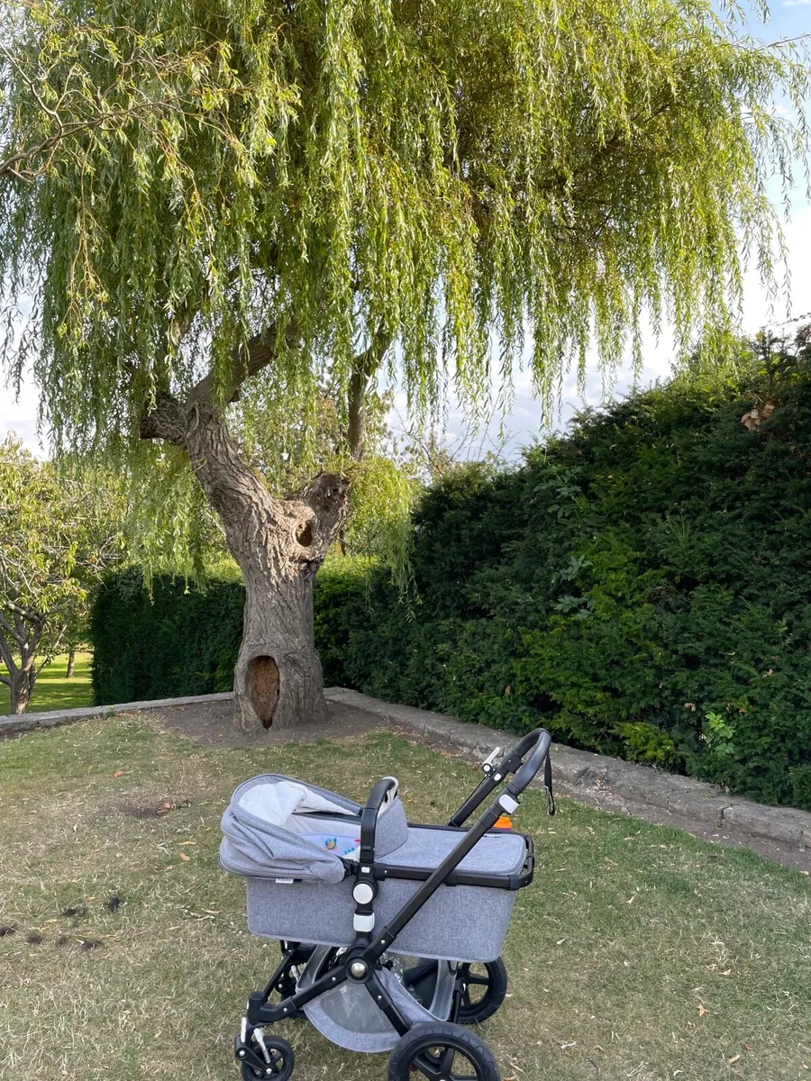 BugabooCamelwon Plus full set - Image 1