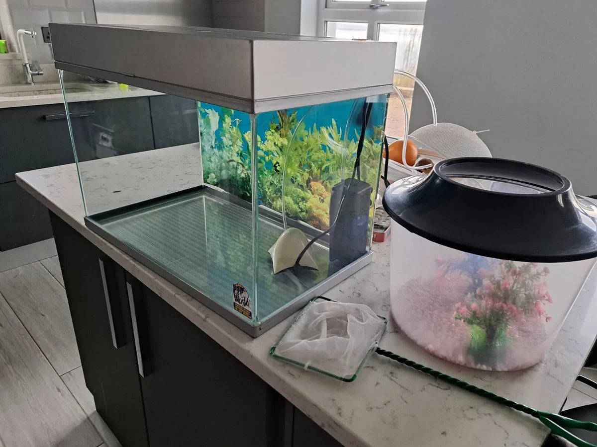 Fish tank - Image 1