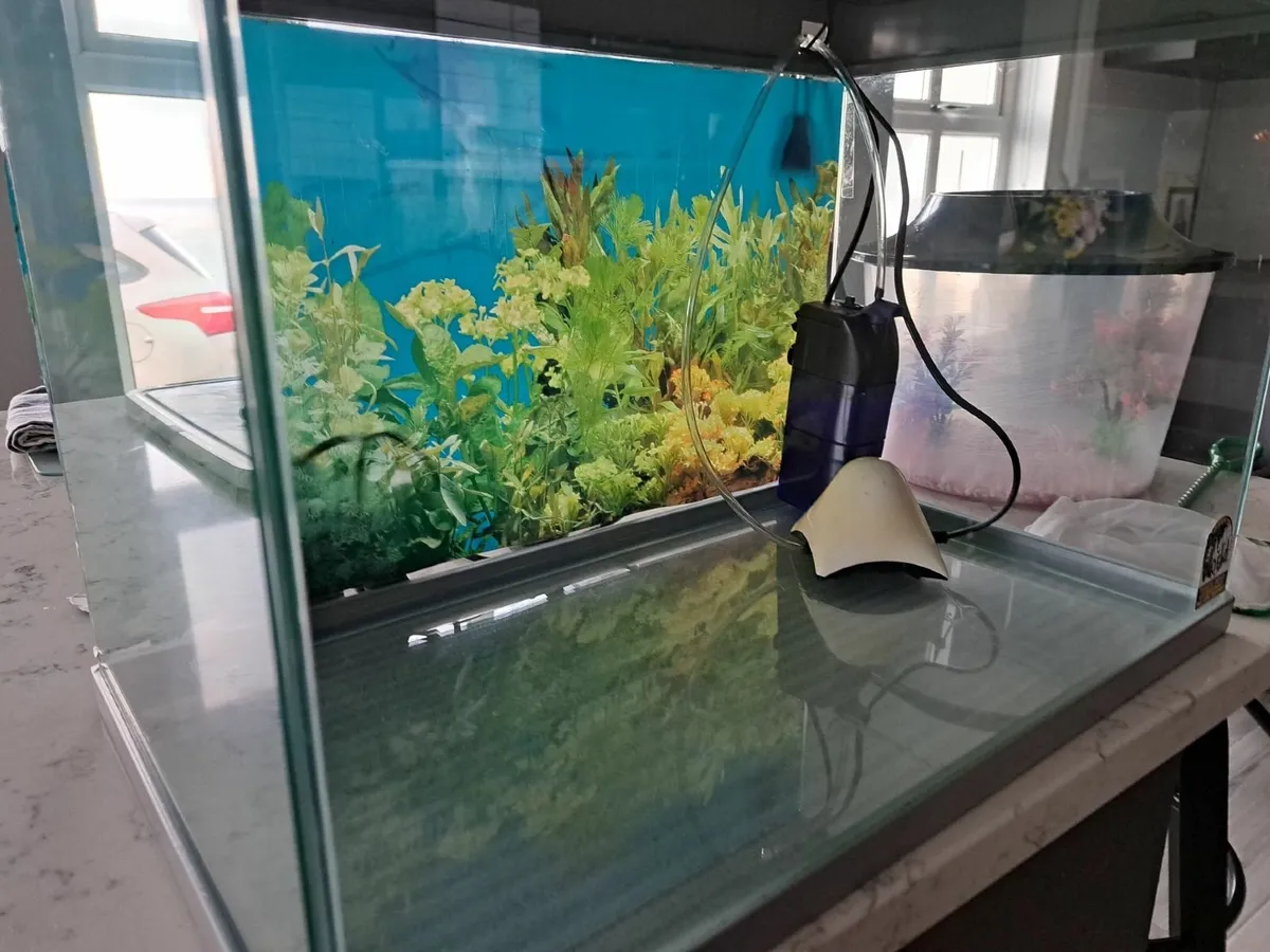 Fish tank - Image 2