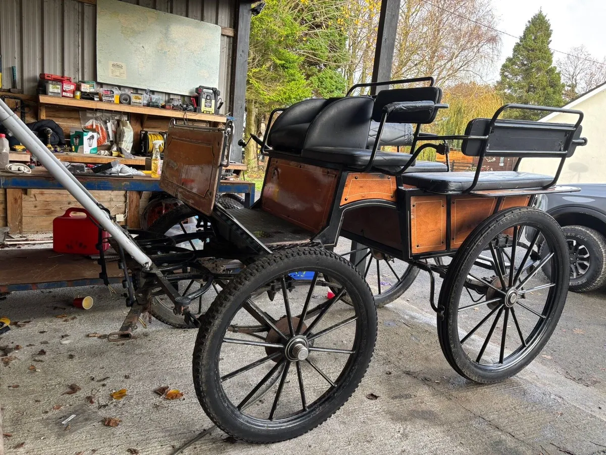 Gig & Harness - Image 3