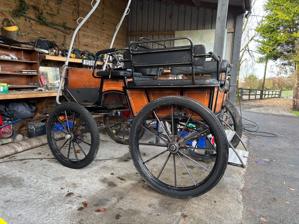 Gig & Harness - Image 4