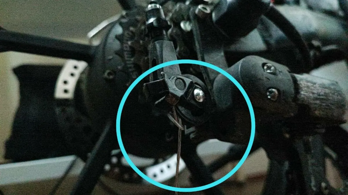 Fiido D2s read ad - Image 2