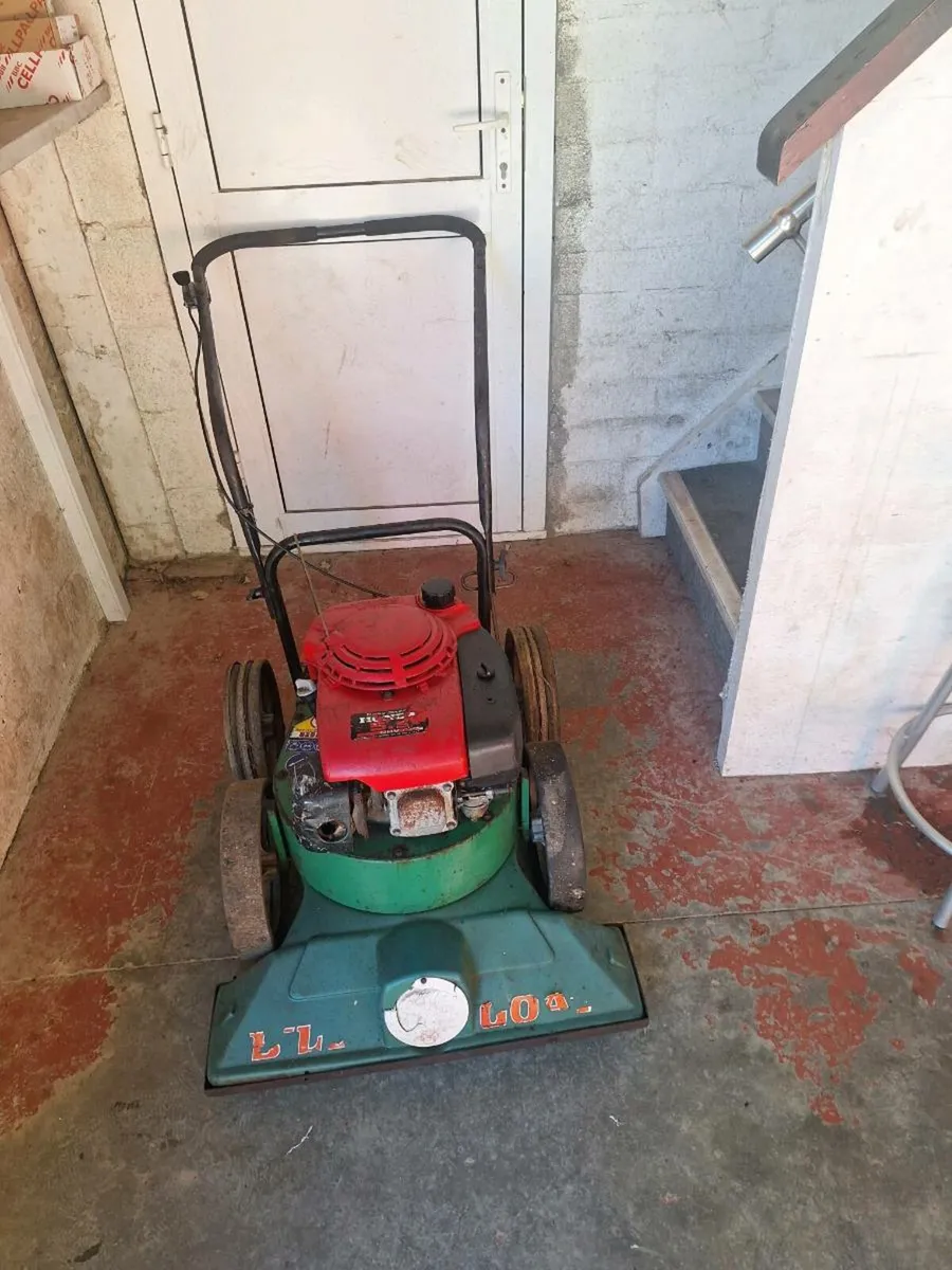 Billy goat - Image 2