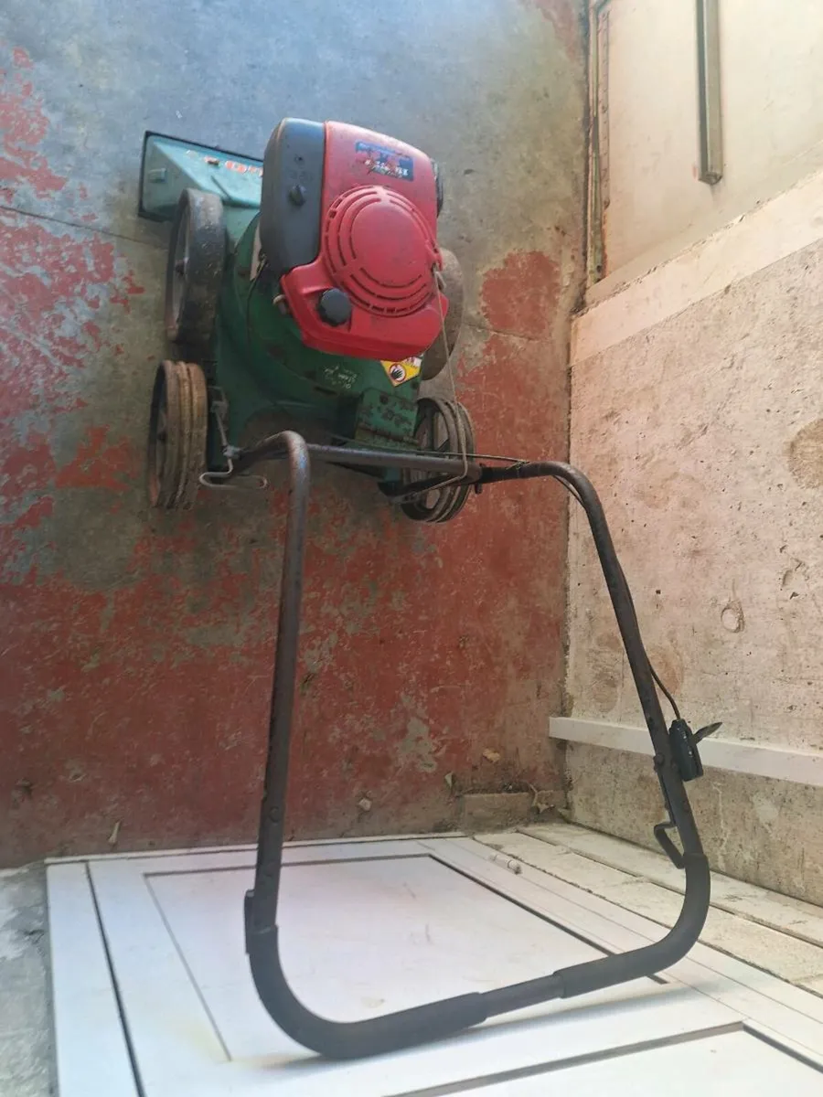 Billy goat - Image 4