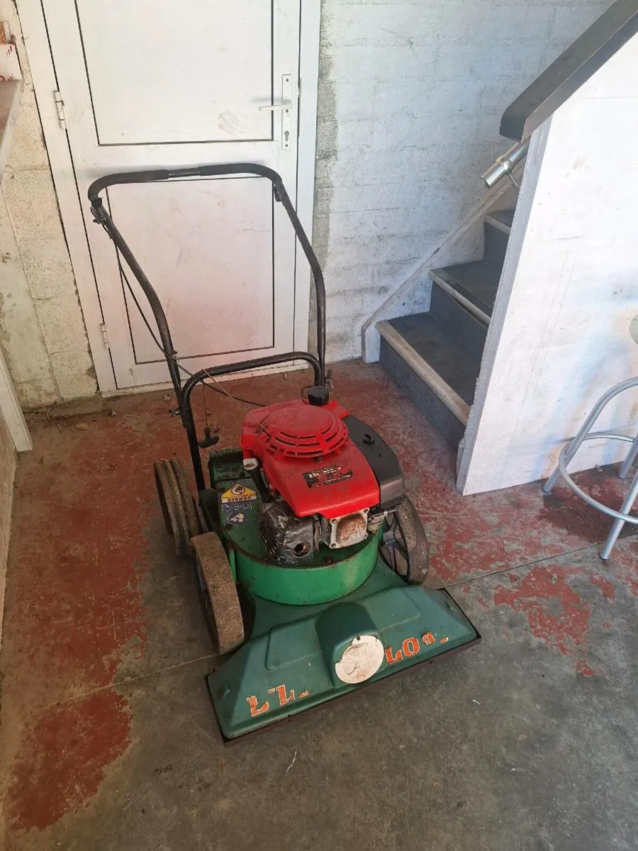 Billy goat - Image 3