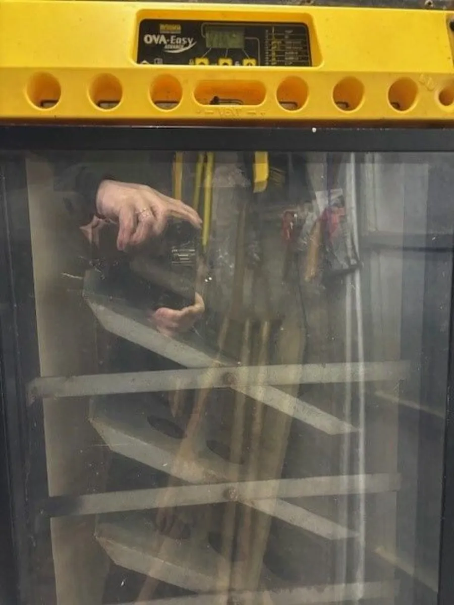 Brinsea OvaEasy 380 Advance EX - Image 2